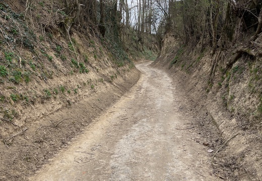 20220325074018-e1c9dc78